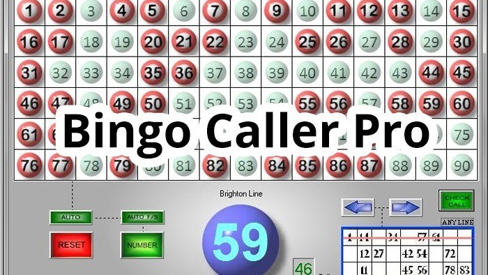 Bingo caller software free